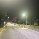 원일로 뉴시스