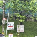 스타불한증막 | 오산 궐동불한증막 ♨️