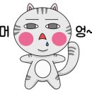용쌤필라테스앤요가