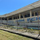강진-15 국민일보