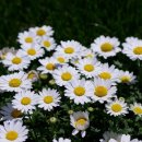 진평경로당 이미지