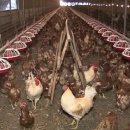 이한농장 이미지