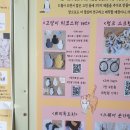 (사)솔솔송자원봉사대 | 고양이 티코스터 9종 풀세트, 레드커런트 파우치 2종 구입 후기 (유기묘 후원)