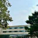 올어라운드펫 | 경주 키녹호텔 디럭스룸 신상 펫호텔 애견동반 숙소 후기