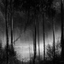 동해(동해)휴게소 이미지