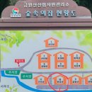 금원산자연휴양림(복합산막,일반산막,숲속수련장) | 거창 금원산 자연휴양림 숲속의집 가격 숙박 후기 그물놀이터 아이랑 산책
