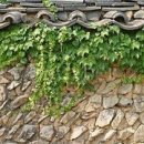 그곳에가면 이미지