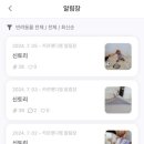 카르펫디엠 강아지유치원 네이버블로그