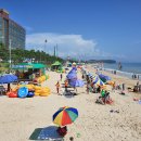 대천해수욕장 이미지