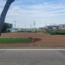 일광이지더원7공주부동산공인중개사사무소 | [공지] [일광땅] 일광 칠암리 위치 좋은 토지 매매(바다조망, 칠암항, 칠암 사계 도보 2분)