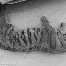 백두산헬스 이미지