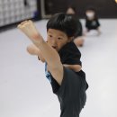 경희대 KTIGERS 태권도 이미지