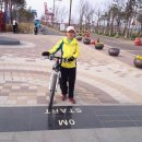 인천국제공항고속국도 옆 이미지