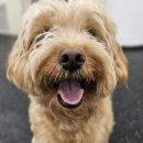 이룸독트레이닝 이미지