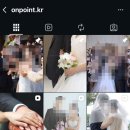 대구 본식스냅 업체 추천 :: 온포인트 웨딩스냅 계약 후기