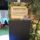(주)베어비 네이버블로그