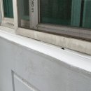 현대실란트
