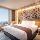 스테이 드레곤 이미지