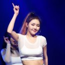시슴