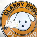 클래시독스 이미지