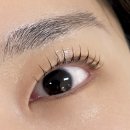 디릴리에 | [대구 달서구] 노글루 영양 듬뿍 월성동 속눈썹펌 잘하는곳 ‘디릴리에뷰티’ 솔직후기