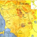 산골포도원 | 이태리의 심장인 Tuscany