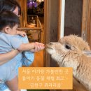 금천식당 | 서울 아기랑 가볼만한 곳 금천구 쥬라리움 금천점 돌아기 대만족후기 수유실 식당 정보