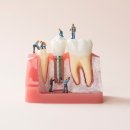 서울수려한치과병원 이미지