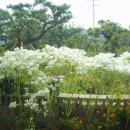 월포주유소 이미지