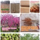 홍정농장 이미지