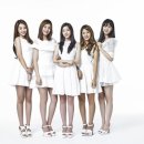 사랑해베리