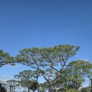 일산황토마루한증막 이미지