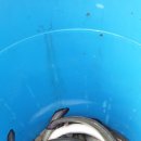 생극낚시터 이미지