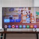 스마트 TV 추천 하이센스 안드로이드 스탠드 티비 후기