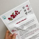 예양꾸지뽕