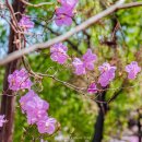 노인전문요양병원 이미지