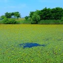 대부바다향기 테마파크 이미지