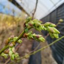 비당농장 이미지