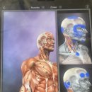 스마일피티 이미지