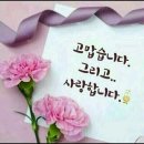연육교 이미지