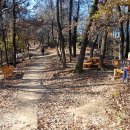 궁내초교 이미지