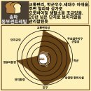 동부유치원 | 송파 동부센트레빌