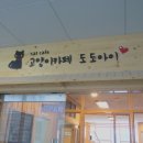 도도아이