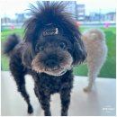 도매당약국 이미지