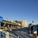 [겨울 동해 여행] 강원도 묵호항 내돈내산 후기,&#34;88...국산 대게, &#34;황금수산&#34; 복어회, 오징어회, 반건조...