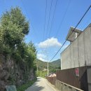 수림 펜션 | [경기도 양평] 서울근교 신축 독채 펜션 ‘벽계수림’ - 아이 포함 단체모임 숙소로 제격!