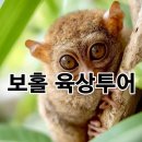 프리미엄아바호텔 | 보홀 육상투어 반딧불 가족여행 데이투어 일정 추천