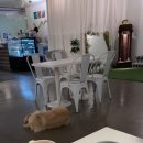 OHT(오해트) 이미지