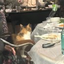 소담재 | [밀양] 겨울에도 아늑한 밀양 촌캉스 “소담재” 펜션 후기