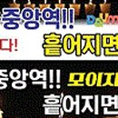 롯데시네마 앞 네이버블로그